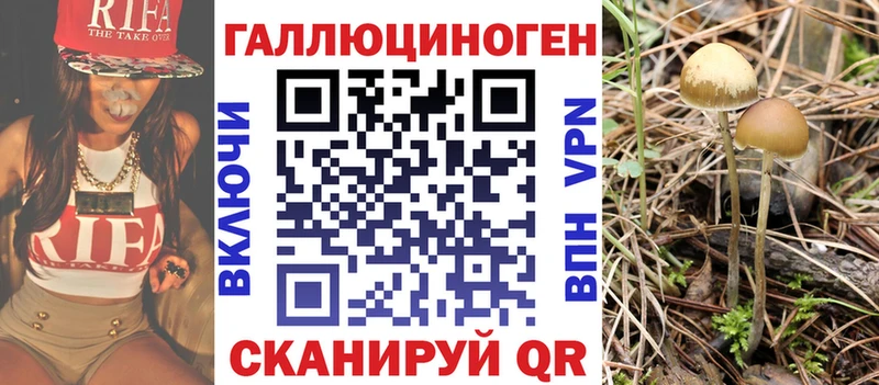 Галлюциногенные грибы Magic Shrooms  нарко площадка Telegram  Андреаполь 