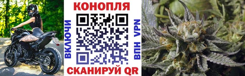 МАРИХУАНА Amnesia  мориарти клад  Андреаполь 